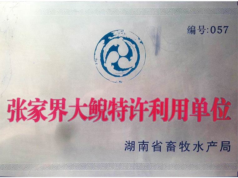 张家界大鲵特许利用单位