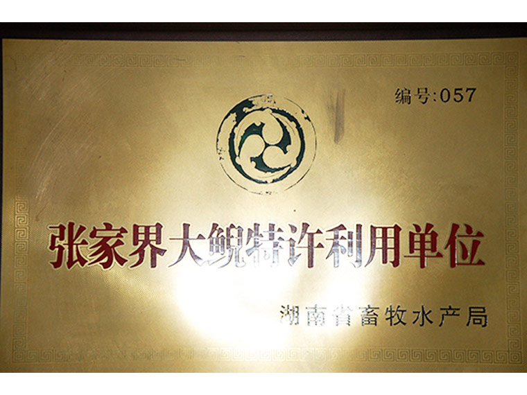 张家界大鲵特许利用单位
