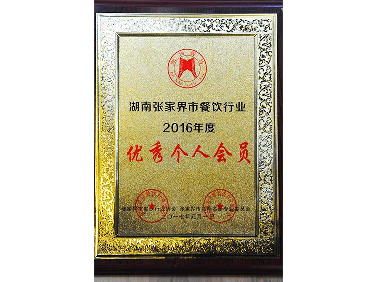 2016年度优秀个人会员
